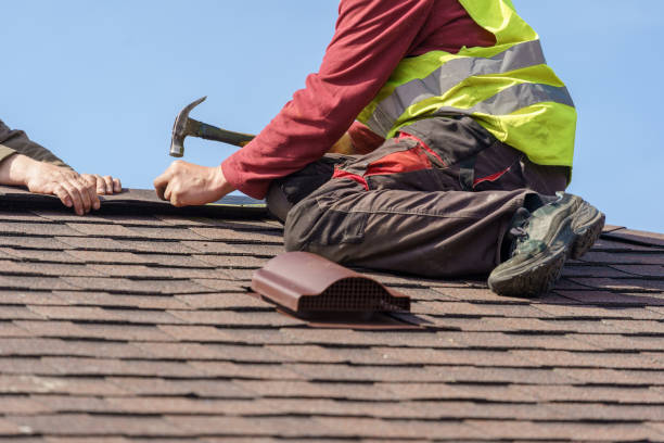 Roof Waterproofing Services in Toledo, IL