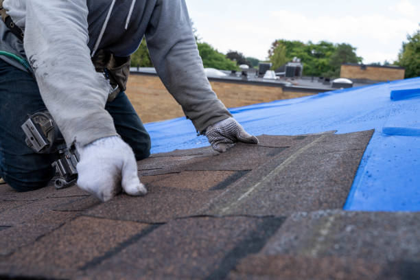 Roof Repair Estimates in Toledo, IL