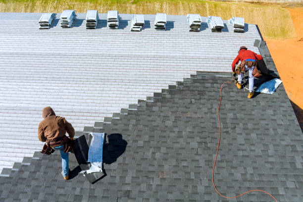 Best Storm Damage Roof Repair  in Toledo, IL