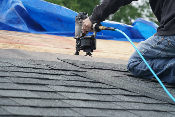 Best Best Roofing Contractors  in Toledo, IL