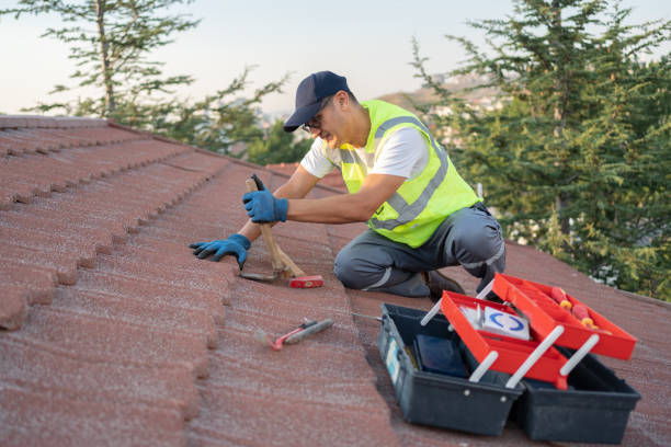 Best Roof Leak Repair  in Toledo, IL