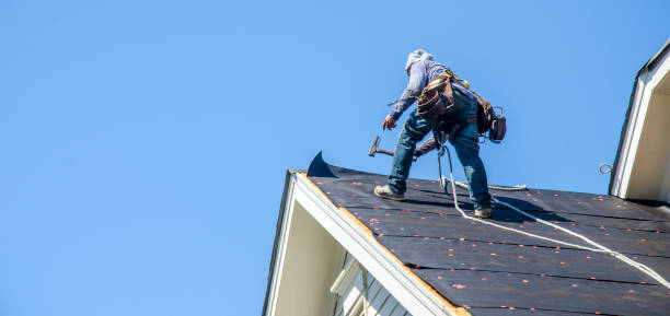 Best Roof Gutter Cleaning  in Toledo, IL